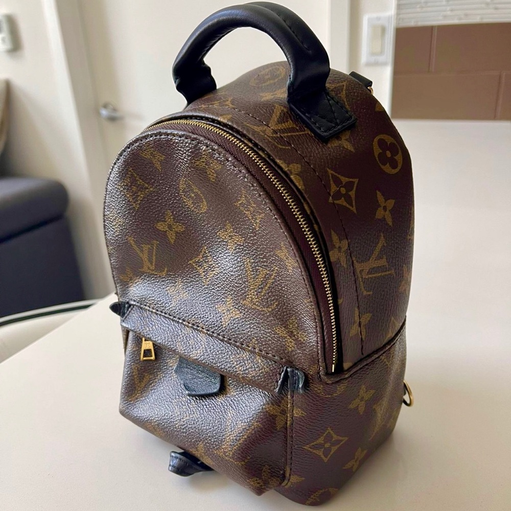 Louis Vuitton Palm Springs Mini Monogram